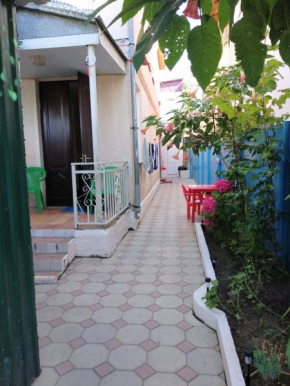 Nadezhda Guest House
